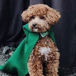 Meet your Posher, Amber